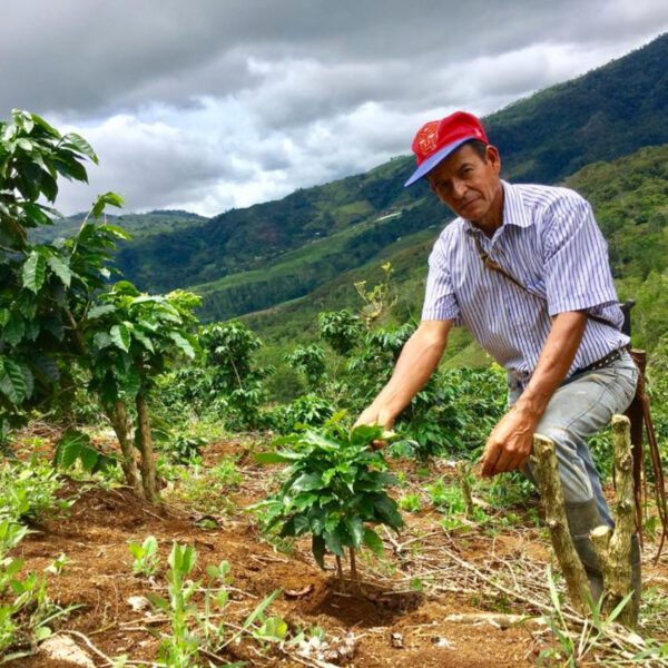 Contact Zwartekoffie