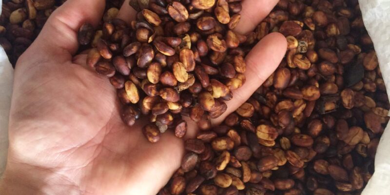 Het verschil tussen gewassen en ongewassen koffie | Zwartekoffie.nl